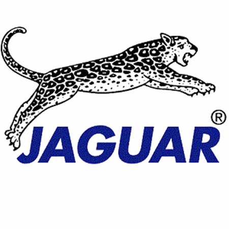 Изображение для категории JAGUAR