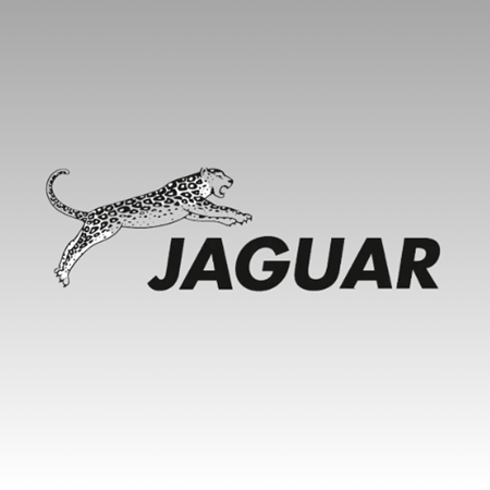 Изображение для категории JAGUAR